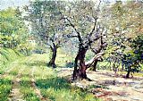 William Merritt Chase Famous Paintings - The Olive Grove